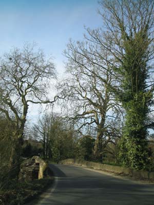 Driving through the Meon Valley WEB