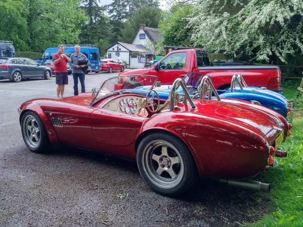 Cobras